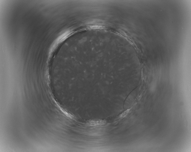 X0000066500245200603201330