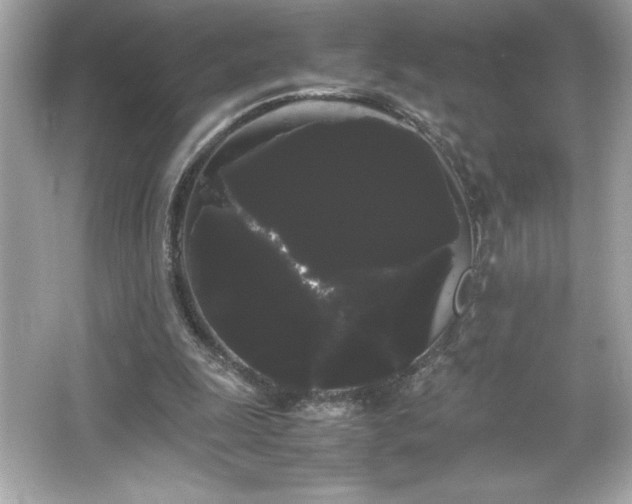 X0000066500247200603201330