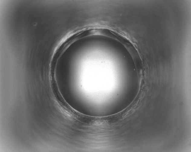 X0000066500248200603201330