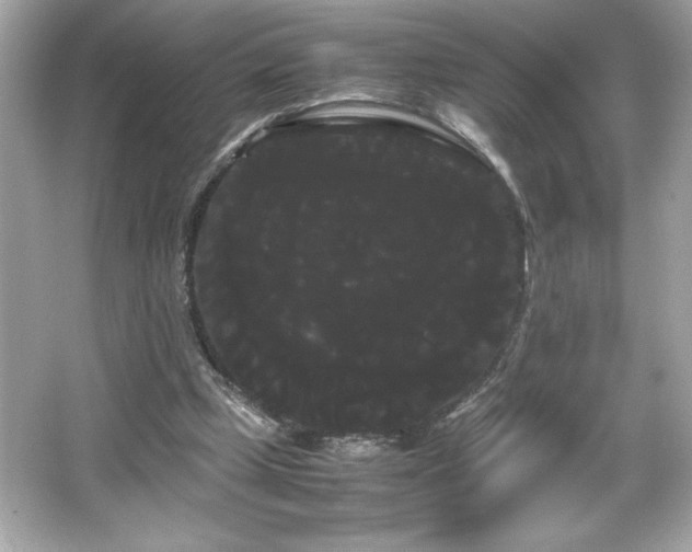 X0000066500249200603201330