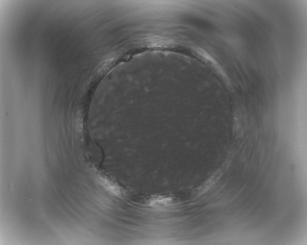 X0000066500257200603201331