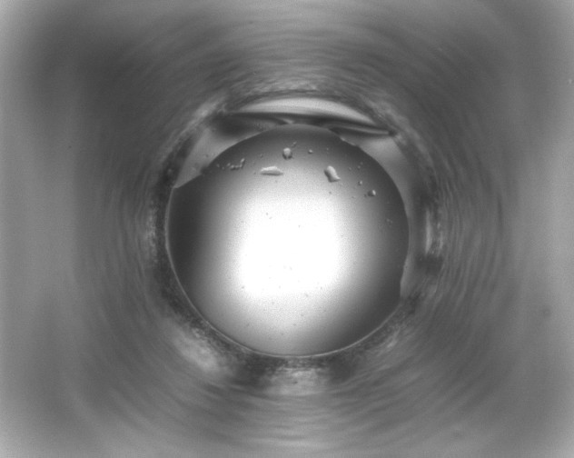 X0000066500260200603201331