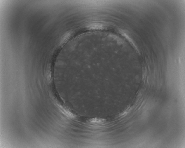 X0000066500261200603201331