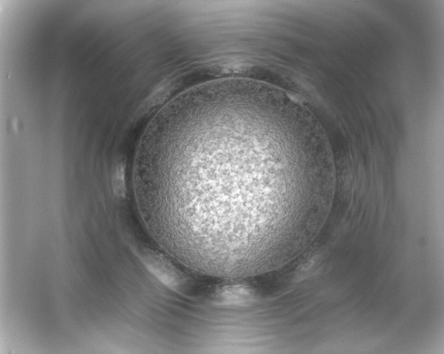 X0000066500262200603201331