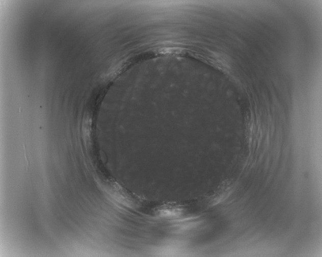X0000066500263200603201331