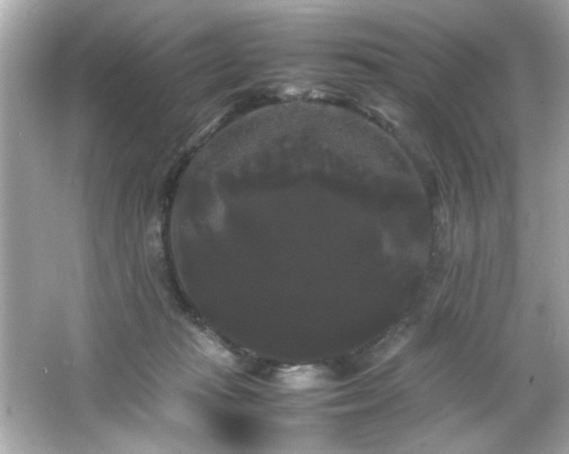 X0000066500269200603201331