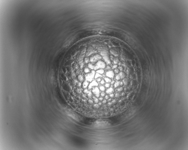 X0000066500270200603201331
