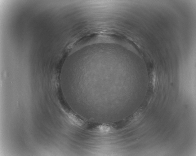 X0000066500272200603201331
