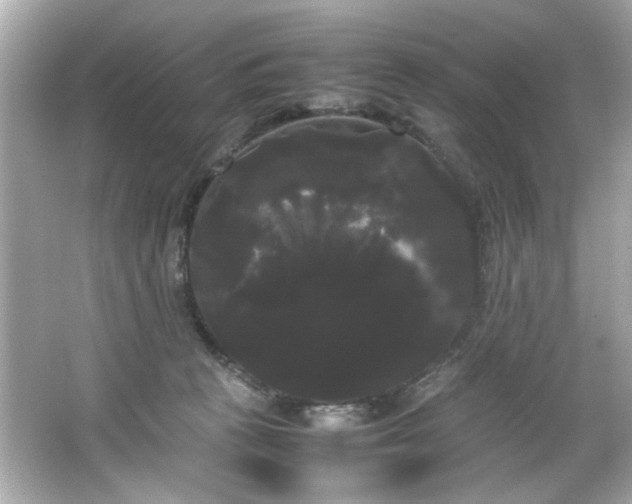 X0000066500273200603201331