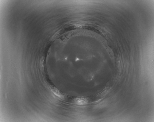 X0000066500275200603201331