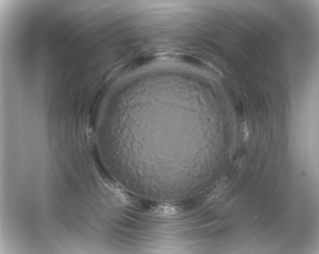 X0000066500276200603201331