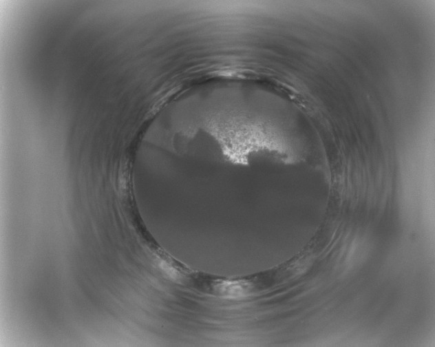 X0000066500277200603201331