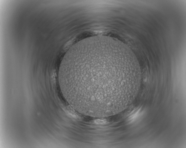 X0000066500279200603201331