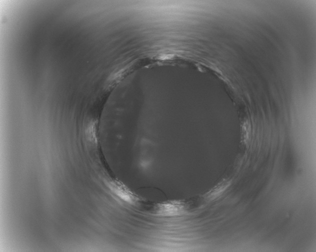 X0000066500286200603201331