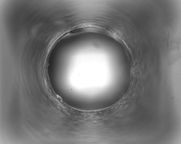 X0000066500289200603201330