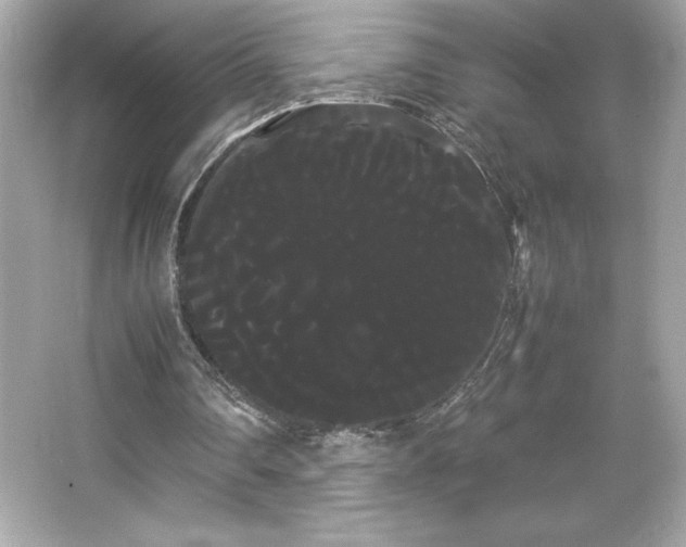 X0000066500290200603201330