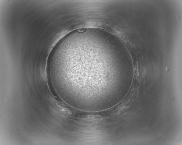 X0000066500292200603201330
