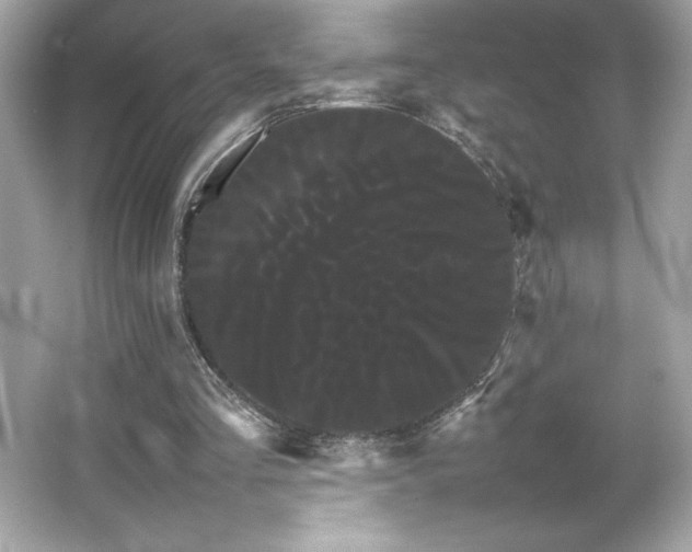 X0000066500293200603201330