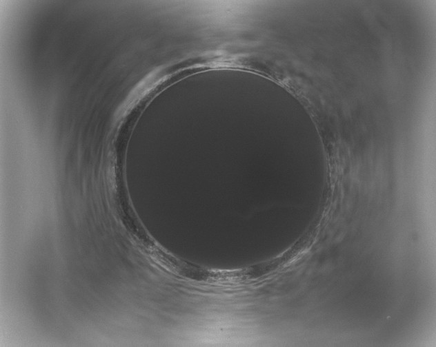 X0000066500295200603201330