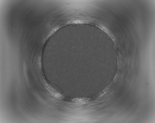 X0000066500297200603201330
