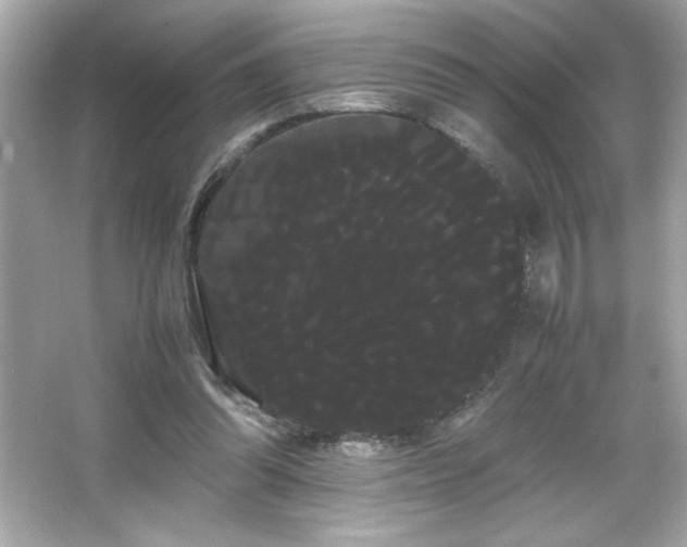 X0000066500302200603201330