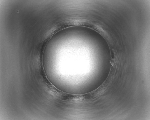 X0000066500306200603201330