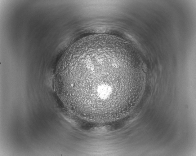 X0000066500307200603201330