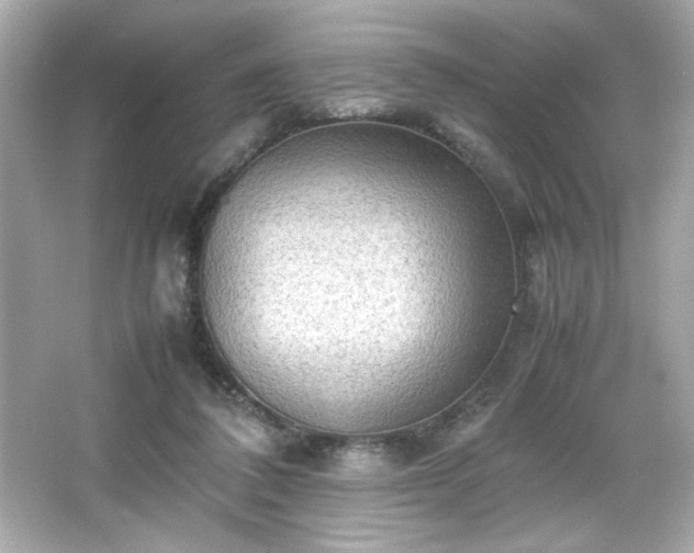 X0000066500308200603201330