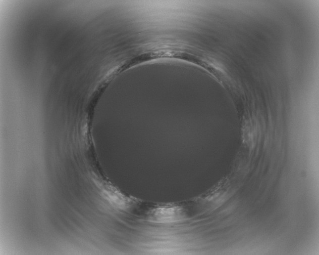 X0000066500314200603201330