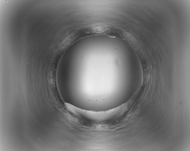 X0000066500317200603201330