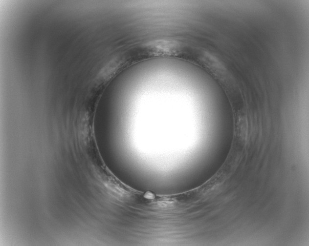 X0000066500318200603201330