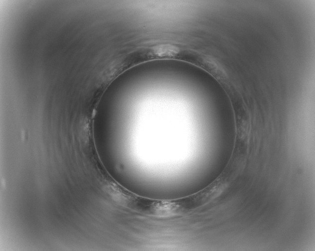 X0000066500321200603201330
