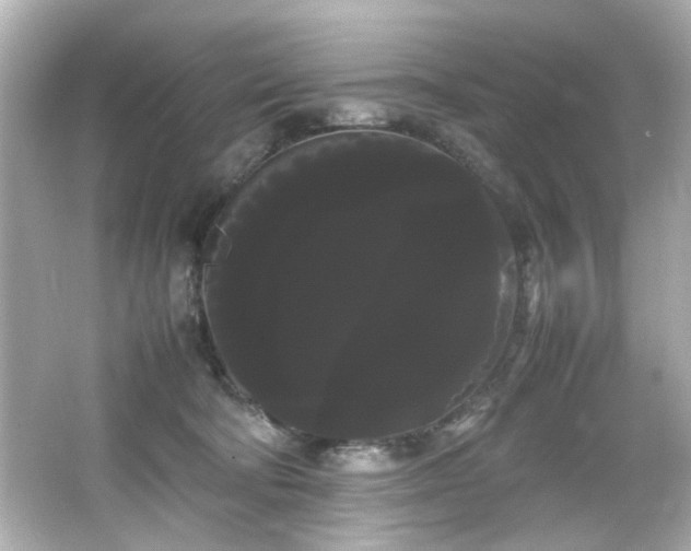 X0000066500322200603201330