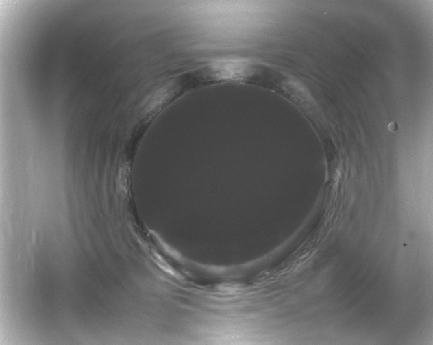 X0000066500325200603201330