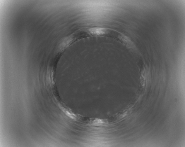 X0000066500330200603201330