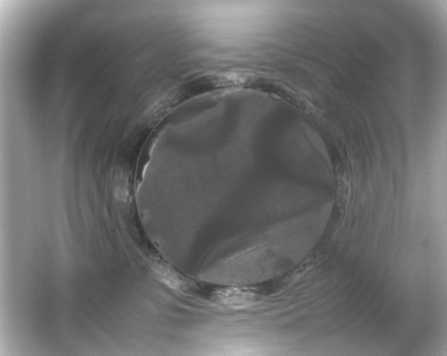 X0000066500331200603201330