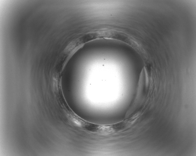X0000066500333200603201329