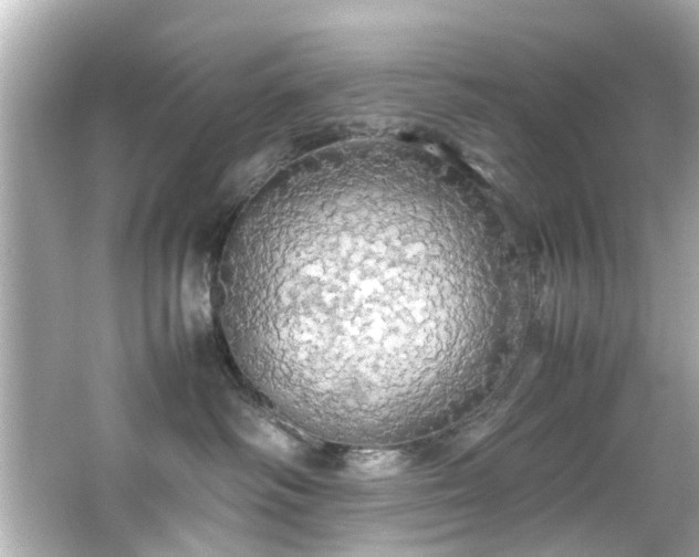 X0000066500334200603201329