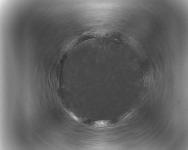 X0000066500335200603201329