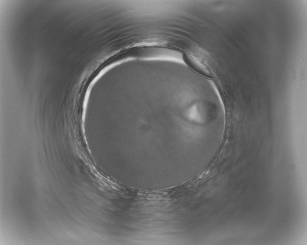 X0000066500337200603201329
