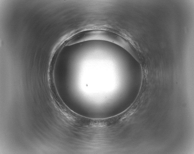 X0000066500340200603201329
