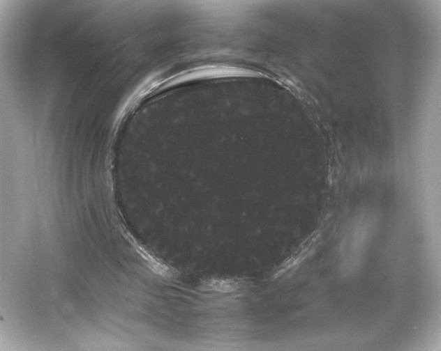 X0000066500341200603201329