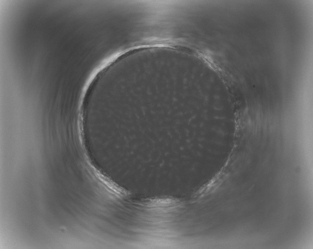 X0000066500342200603201329