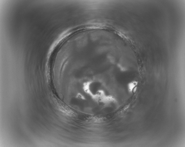 X0000066500343200603201329