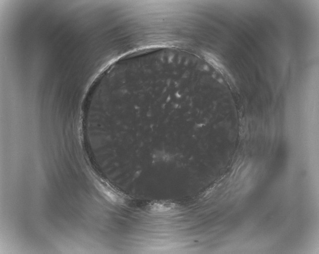 X0000066500346200603201329