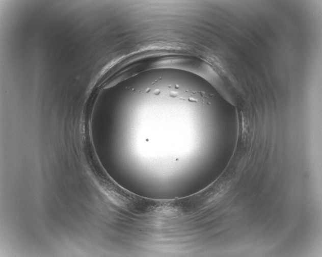 X0000066500348200603201329