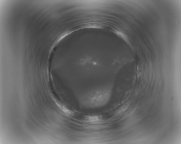 X0000066500349200603201329