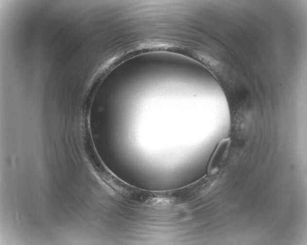X0000066500352200603201329