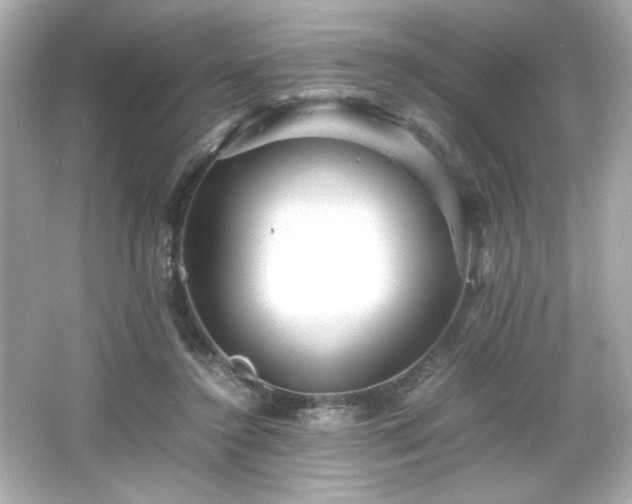 X0000066500356200603201329