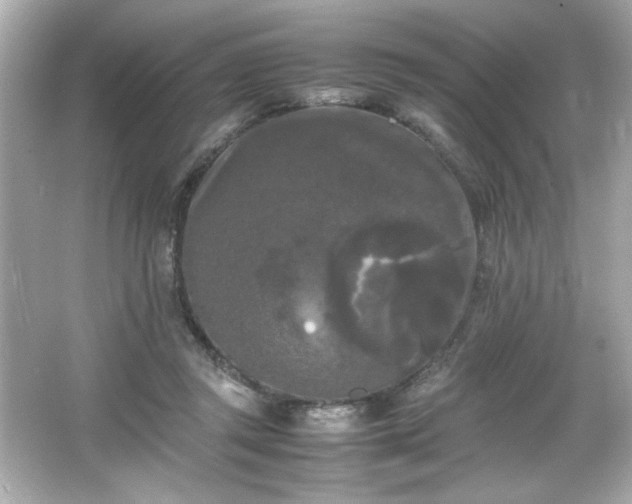 X0000066500357200603201329